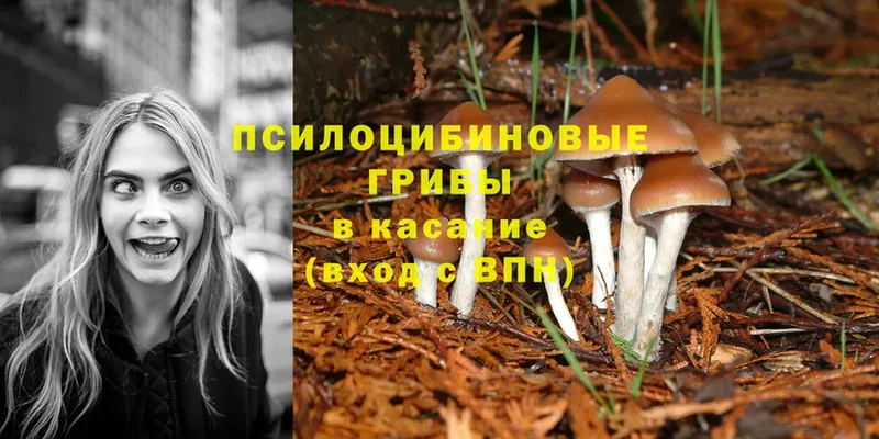 Галлюциногенные грибы MAGIC MUSHROOMS  где продают   Иннополис 